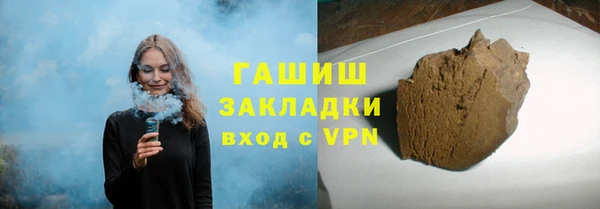 сатива Кедровый
