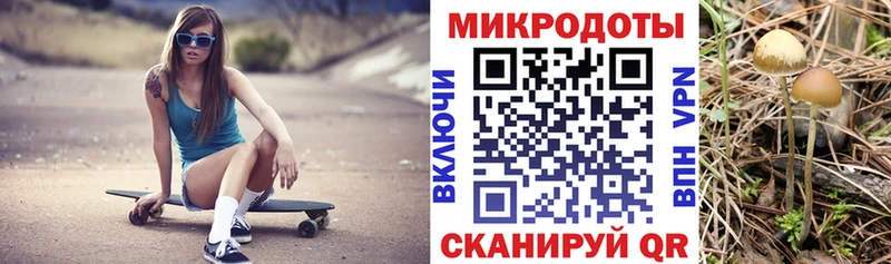 ОМГ ОМГ маркетплейс  Верея  Галлюциногенные грибы Psilocybine cubensis 